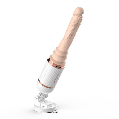 Dildojen esittely